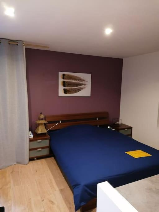 Zen Et Cosy Apartment *
